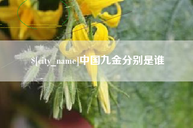 安岳中国九金分别是谁