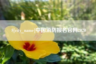 安岳中国消防报名官网2020