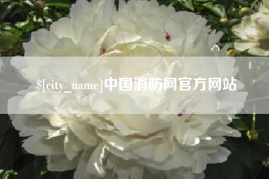 安岳中国消防网官方网站