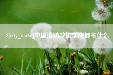 安岳中国消防救援学院都考什么