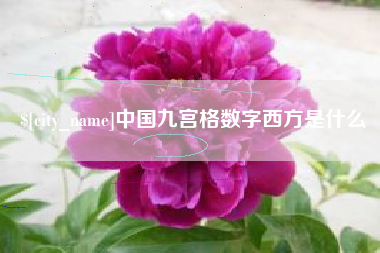 安岳中国九宫格数字西方是什么