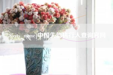 安岳中国失信执行人查询官网