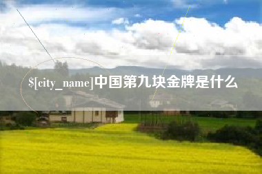 安岳中国第九块金牌是什么