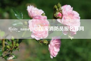 安岳2021国家消防员报名官网