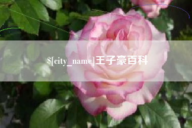 安岳王子豪百科