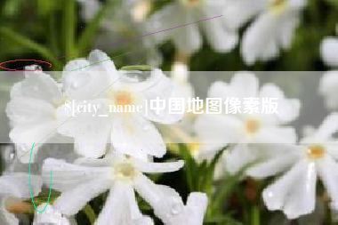 安岳中国地图像素版