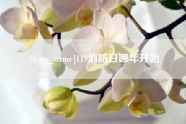 安岳119消防日哪年开始