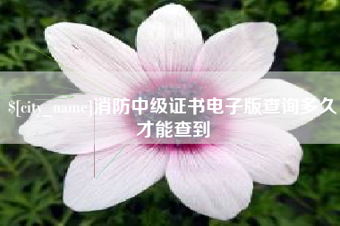 安岳消防中级证书电子版查询多久才能查到