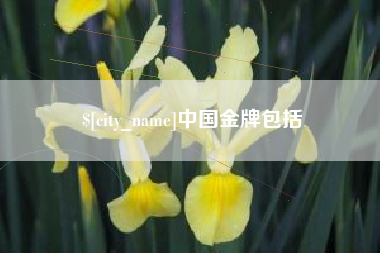 安岳中国金牌包括