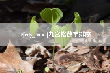 安岳九宫格数字排序