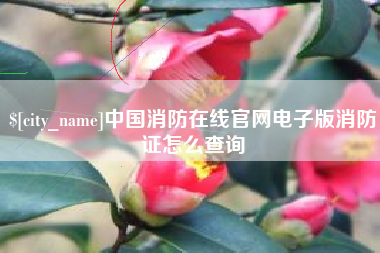 安岳中国消防在线官网电子版消防证怎么查询