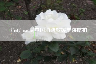 安岳中国消防救援学院航拍