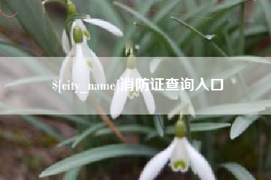 安岳消防证查询入口