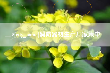 安岳消防器材生产厂家集中
