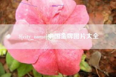 安岳中国金牌图片大全