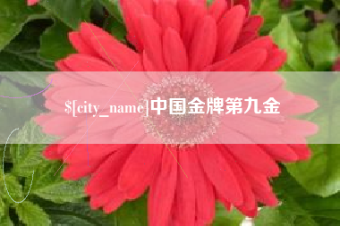 安岳中国金牌第九金