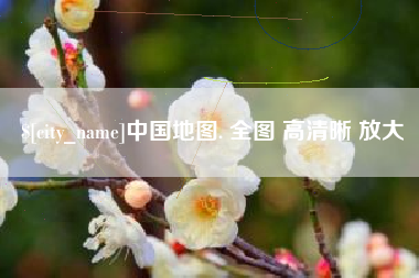 安岳中国地图. 全图 高清晰 放大