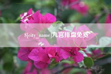 安岳九宫排盘免费