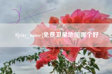 安岳免费卫星地图哪个好