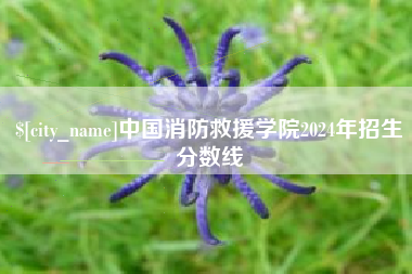 安岳中国消防救援学院2024年招生分数线