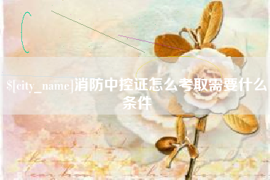 安岳消防中控证怎么考取需要什么条件