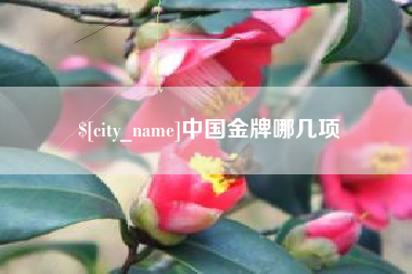 安岳中国金牌哪几项