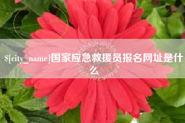 安岳国家应急救援员报名网址是什么