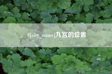 安岳九宫的位置