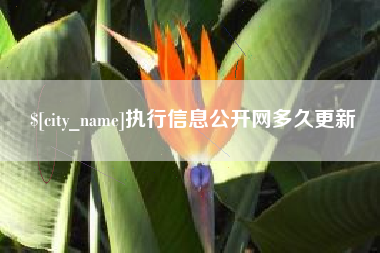 安岳执行信息公开网多久更新