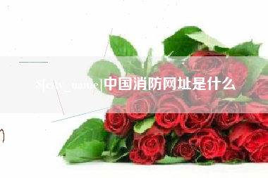 安岳中国消防网址是什么