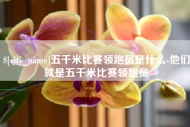 安岳五千米比赛领跑员是什么-他们就是五千米比赛领跑员
