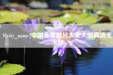 安岳中国金牌图片大全大图高清无水印