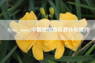 安岳中国地图市区县分布图片