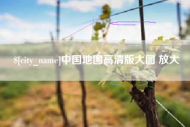 安岳中国地图高清版大图 放大