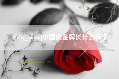 安岳中国的金牌长什么样子
