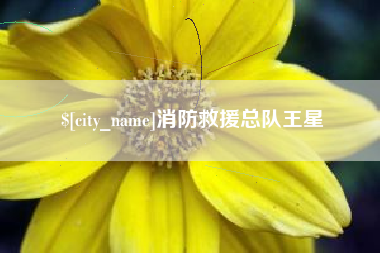 安岳消防救援总队王星