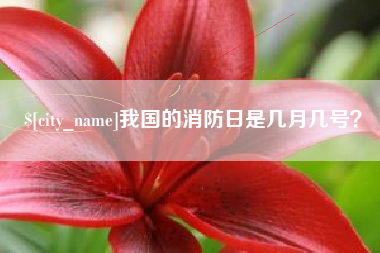 安岳我国的消防日是几月几号？