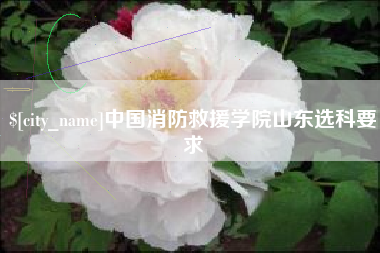 安岳中国消防救援学院山东选科要求