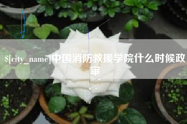安岳中国消防救援学院什么时候政审