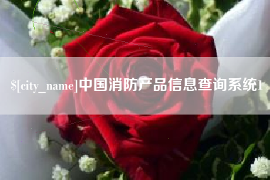 安岳中国消防产品信息查询系统1