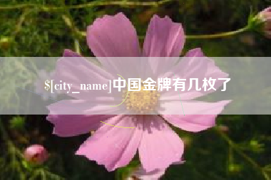 安岳中国金牌有几枚了