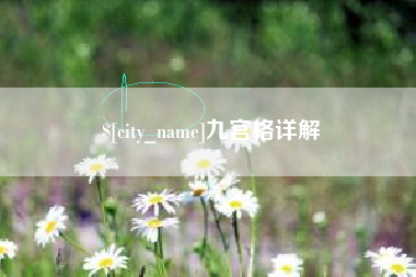 安岳九宫格详解