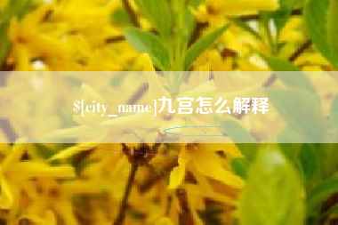 安岳九宫怎么解释
