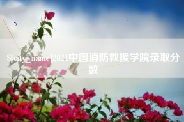 安岳2021中国消防救援学院录取分数