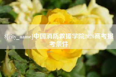 安岳中国消防救援学院2020高考报考条件