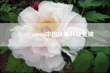 安岳中国队第八块金牌
