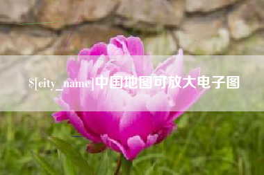 安岳中国地图可放大电子图