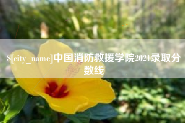 安岳中国消防救援学院2021录取分数线