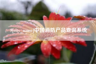 安岳中国消防产品查询系统