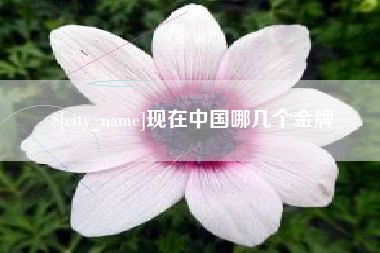 安岳现在中国哪几个金牌